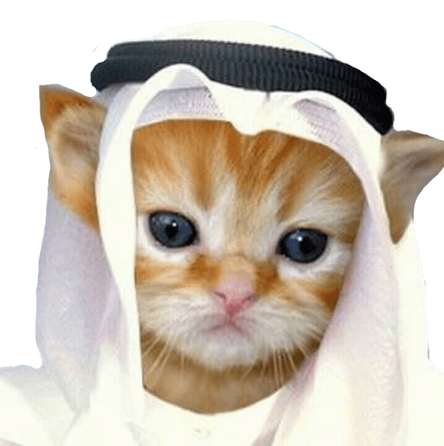 token image for HABIBI